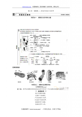 高中生物科技知识点（高中生物科技知识点总结）-图3