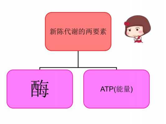 新陈代谢科技知识（新陈代谢科技知识竞赛）-图3