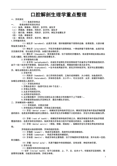 口腔科技知识点汇总（口腔科知识点总结）-图3