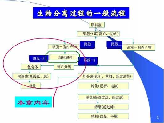 关于细胞分离的高科技知识（细胞分离有什么用）-图2