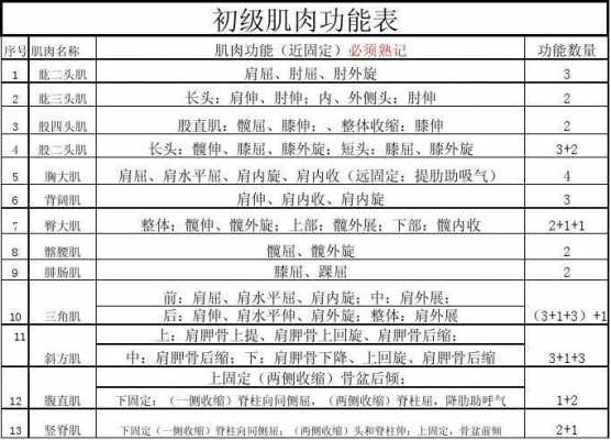 练肌肉有哪些科技知识点（练肌肉的作用）-图2