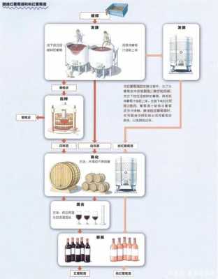 红酒制作科技知识点汇总（红酒制作过程视频教程）-图2