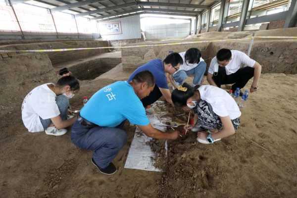 考古专业要学哪些科技知识（考古专业要选哪几科）-图3