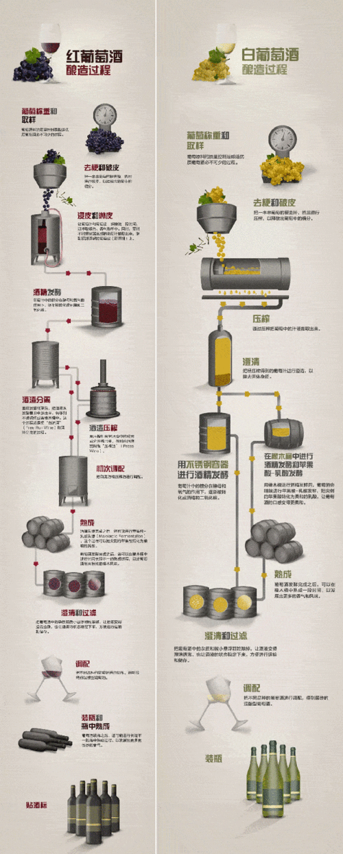 红酒制作科技知识点归纳（红酒制作科技知识点归纳图片）-图2