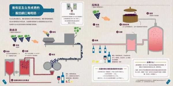 红酒制作科技知识点归纳（红酒制作科技知识点归纳图片）-图3