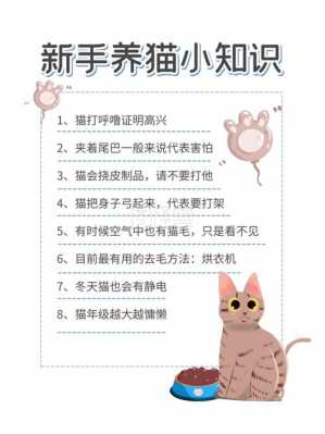 养猫必备科技知识大全图片（养猫知识大全 书）-图1