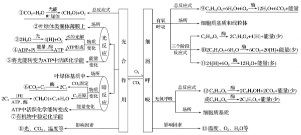 有氧呼吸科技知识点（有氧呼吸知识点总结）-图3