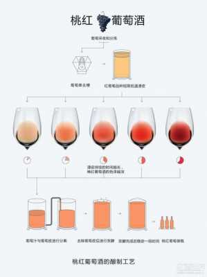 红酒制作科技知识点总结（简要说明红酒的制作过程）-图2