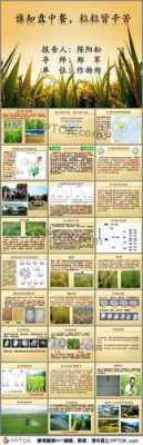 水稻最新科技知识大全视频（水稻知识简易问答）-图1