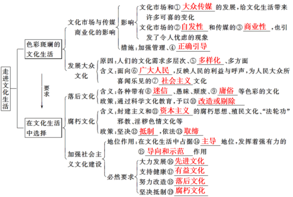 文化生活科技知识点归纳图（文化生活知识点汇总）-图2