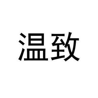 温致科技知识产权（北京温致科技有限公司）-图3