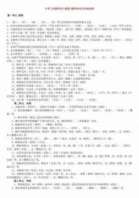 三年级上册科技知识点（三年级上册科学知识点归纳总结科教版）-图3