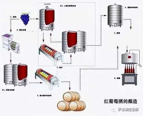 红酒制作科技知识（红酒制作科技知识大全）-图3