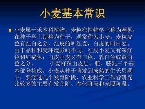 关于小麦的科技知识资料（关于小麦的科技知识资料图片）-图3