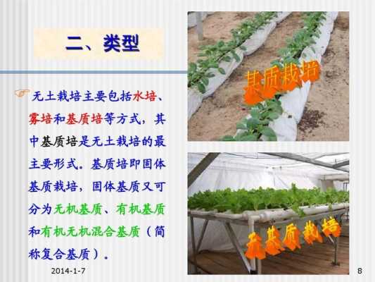 土壤种植科技知识培训内容（土壤种植科技知识培训内容摘要）-图2