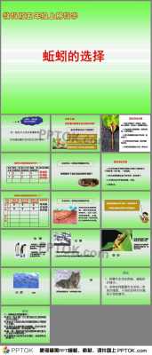 科技知识蚯蚓的作用（蚯蚓有什么作用和用途,说一说感受）-图2