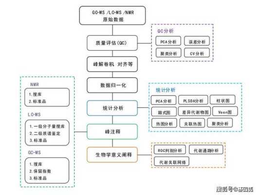 代谢组学的应用科技知识（代谢组学kegg）-图2