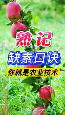 农业科技知识顺口溜（农业科技知识 顺口溜）-图2