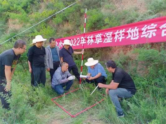 林草科技知识答案大全图片（十大林草科学问题和工程技术难题）-图3