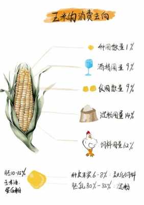 玉米科技知识（玉米科普）-图3