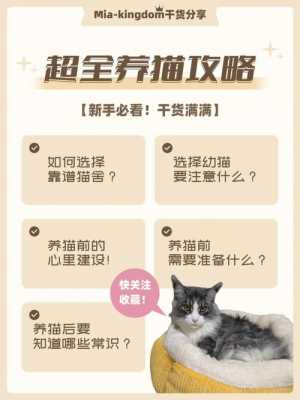 养猫必备科技知识点（养猫必备科技知识点大全）-图3