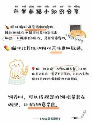 养猫必备科技知识点（养猫必备科技知识点大全）-图2