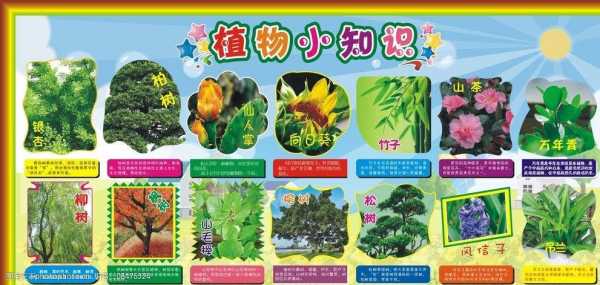 植物掌握核心科技知识（植物科学知识有哪些）-图3