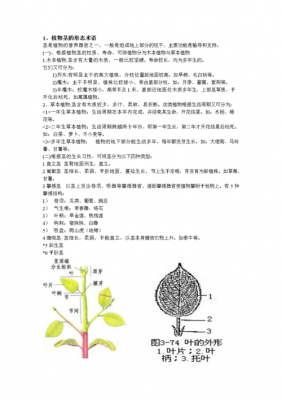 植物掌握核心科技知识（植物科学知识有哪些）-图2