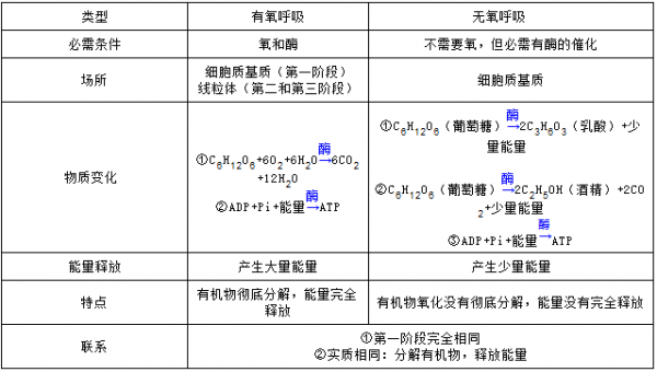 有氧呼吸科技知识竞赛题目（有氧呼吸试题）-图3