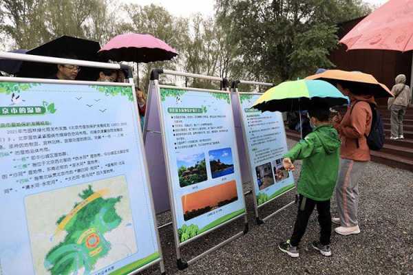 湿地科技知识讲座心得感悟（湿地科普宣传标语）-图2