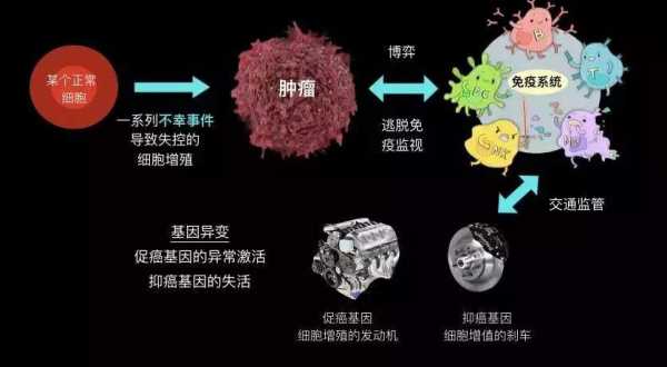 识别癌细胞的科技知识是什么（癌细胞诊断手段）-图1