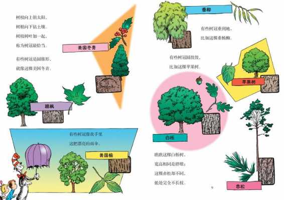 树的科技知识资料（树的科普知识）-图1