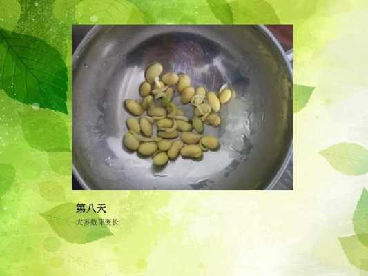 豆芽生产科技知识点汇总（豆芽生产过程视频教程）-图3