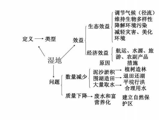 湿地科技知识点总结大全（湿地相关知识点）-图3