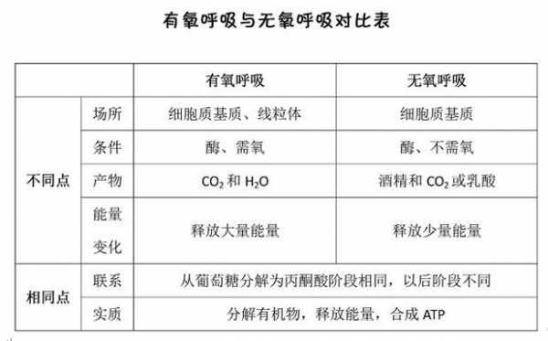 有氧呼吸科技知识竞赛题（有氧呼吸考点）-图2