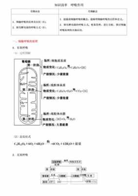 有氧呼吸科技知识（有氧呼吸科技知识点总结）-图2