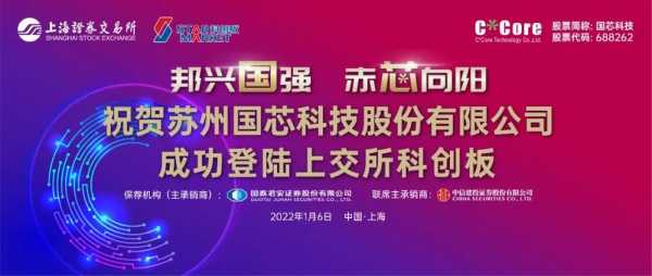 国芯科技知识产权（国芯科技有限公司怎么样）-图1