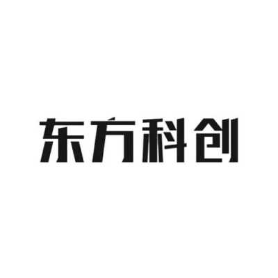 东方科技知识产权有限公司（东方科技股份）-图1