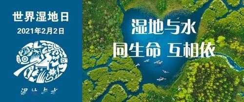 湿地科技知识问答（湿地科普宣传活动方案）-图2