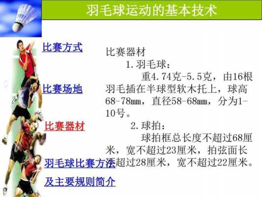 羽毛球最新科技知识视频（羽毛球最新科技知识视频讲解）-图1