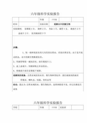 小学生科技知识研究报告（小学生科技报告怎么写）-图3