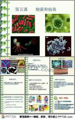 细菌科技知识（细菌方面的知识）-图1