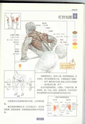 练肌肉一般有哪些科技知识（练肌肉有哪些项目）-图2