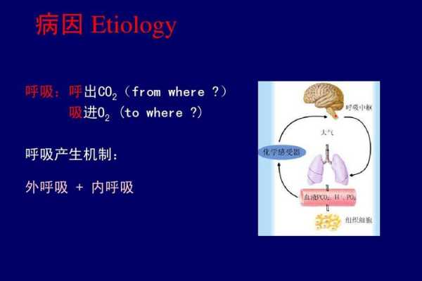 人类在水中呼吸的科技知识（人在水中呼吸困难原因）-图3