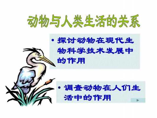 动物给人提供的科技知识（动物给我们带来哪些科学帮助）-图3