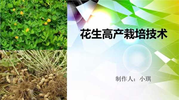 花生种植科技知识（花生的种植与管理技术一）-图1