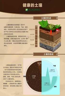 有关土壤的新科技知识资料（有关土壤的新科技知识资料大全）-图2