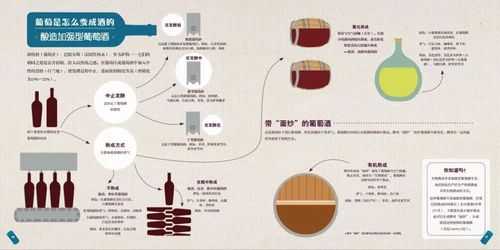 红酒制作科技知识大全图片（红酒制作过程图片）-图3