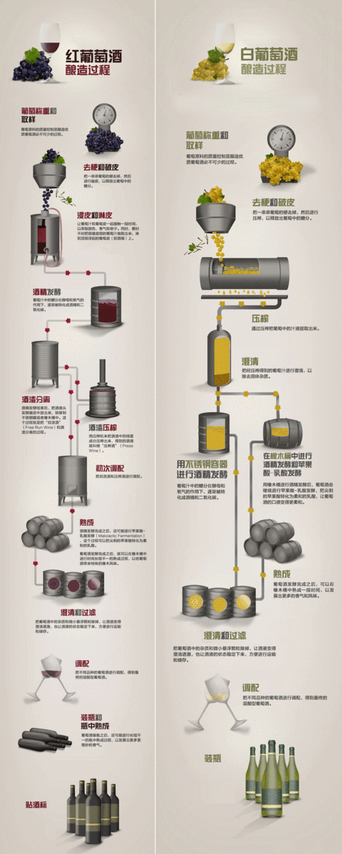 红酒制作科技知识大全图片（红酒制作过程图片）-图2