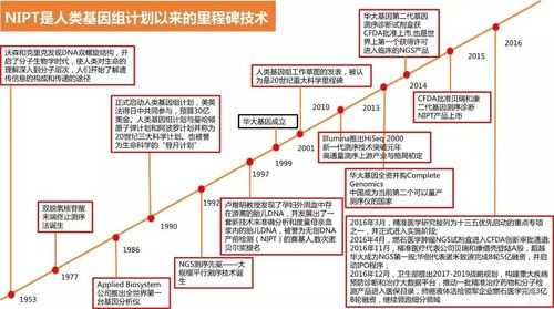 制作里程碑科技知识卡片（里程碑怎么绘画）-图2